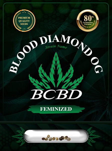 Blood Diamond OG Strain Feminized