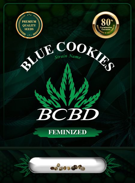 Blue Cookies Strain Feminized