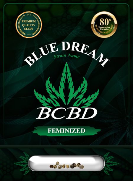 Blue Dream Strain Feminized