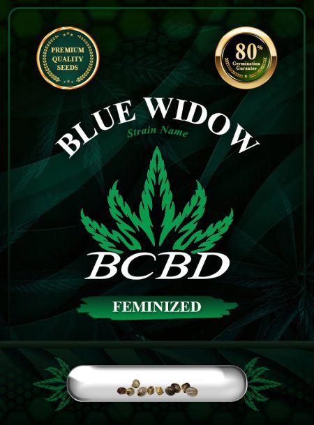Blue Widow Strain Feminized