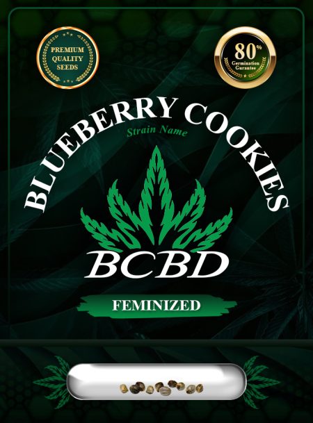 Blueberry Cookies Strain Feminized