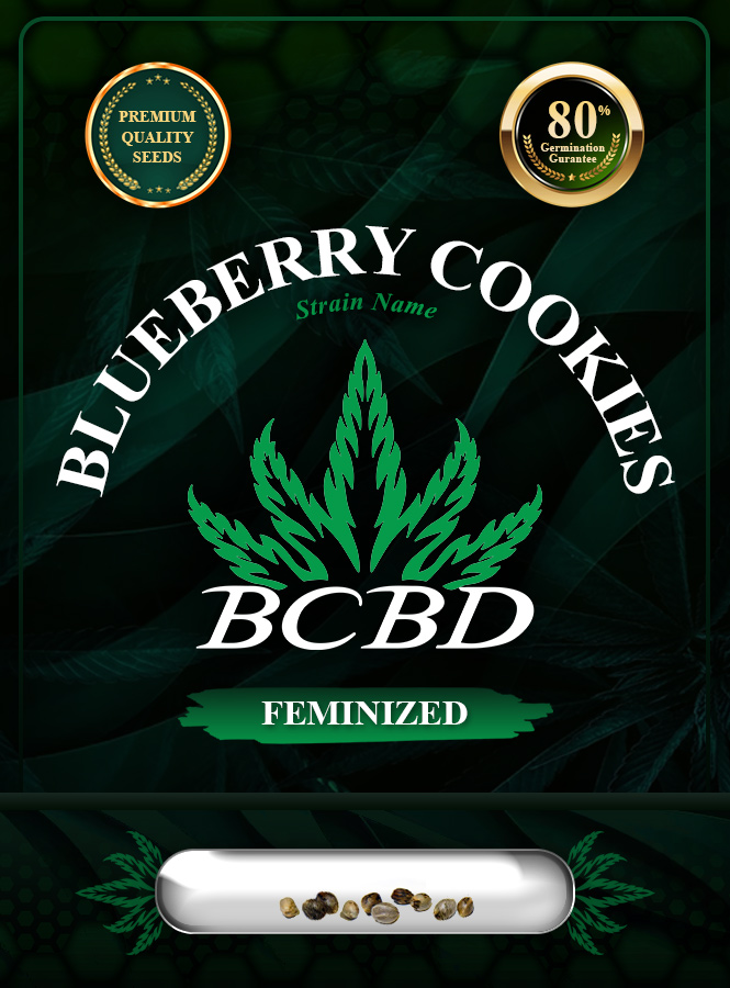 Blueberry Cookies Strain Feminized Marijuana Seeds