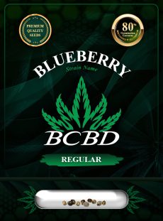 Blueberry Strain Regular