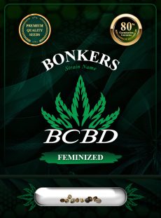 Bonkers Strain Feminized