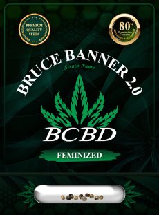 Bruce Banner 2.0 Strain Feminized