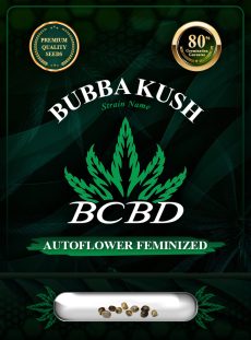 Bubba Kush Autoflowering