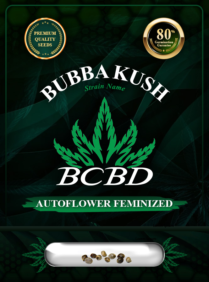 Bubba Kush Autoflowering Marijuana Seeds