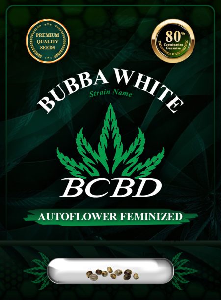 Bubba White Strain Autoflowering