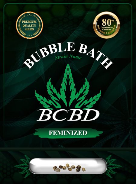 Bubble Bath Strain Feminized