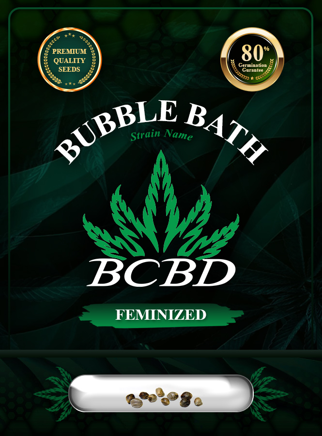 Bubble Bath Strain Feminized Marijuana Seeds