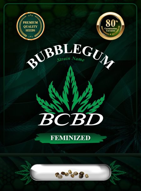 Bubblegum Strain Feminized