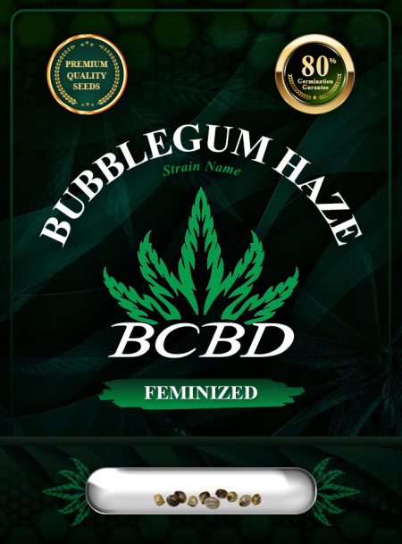 Bubblegum Haze Feminized