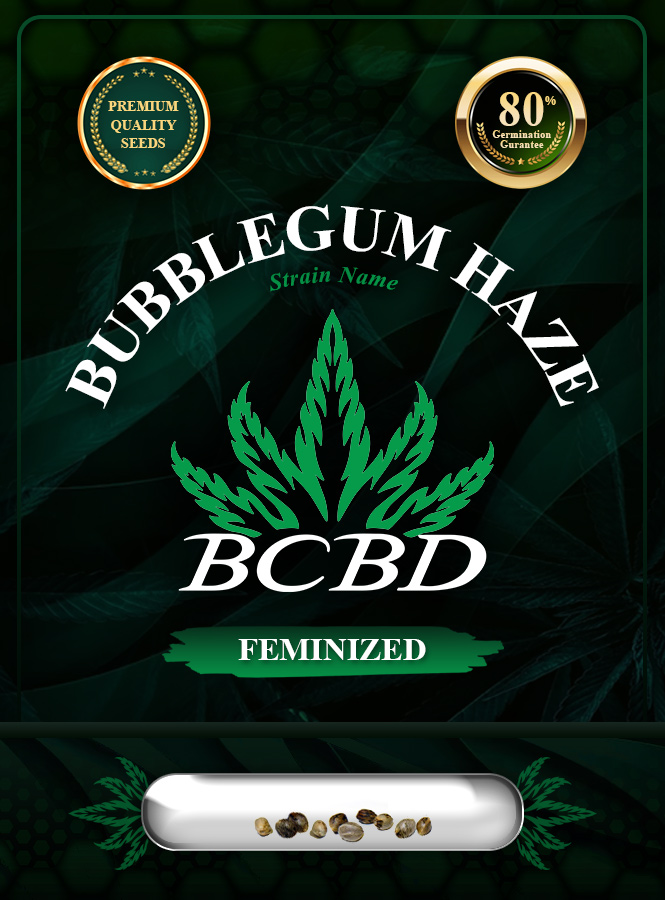 Bubblegum Haze Feminized Marijuana Seeds