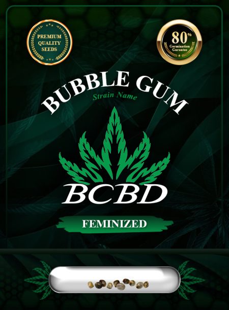 Bubblegum Strain Autoflowering