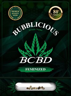 Bubblicious Strain Feminized