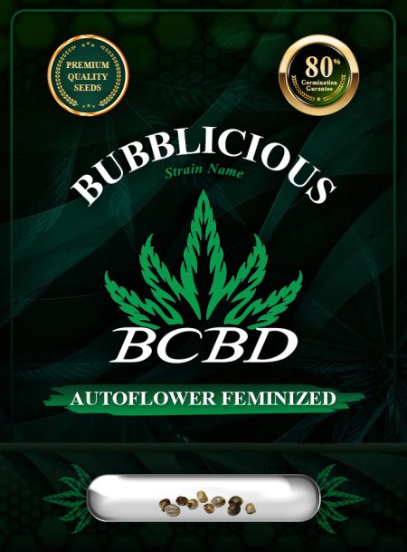 Bubblicious Strain Autoflowering