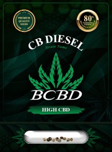 CB Diesel Strain CBD Feminized