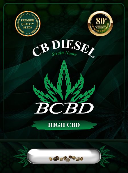 CB Diesel Strain CBD Feminized
