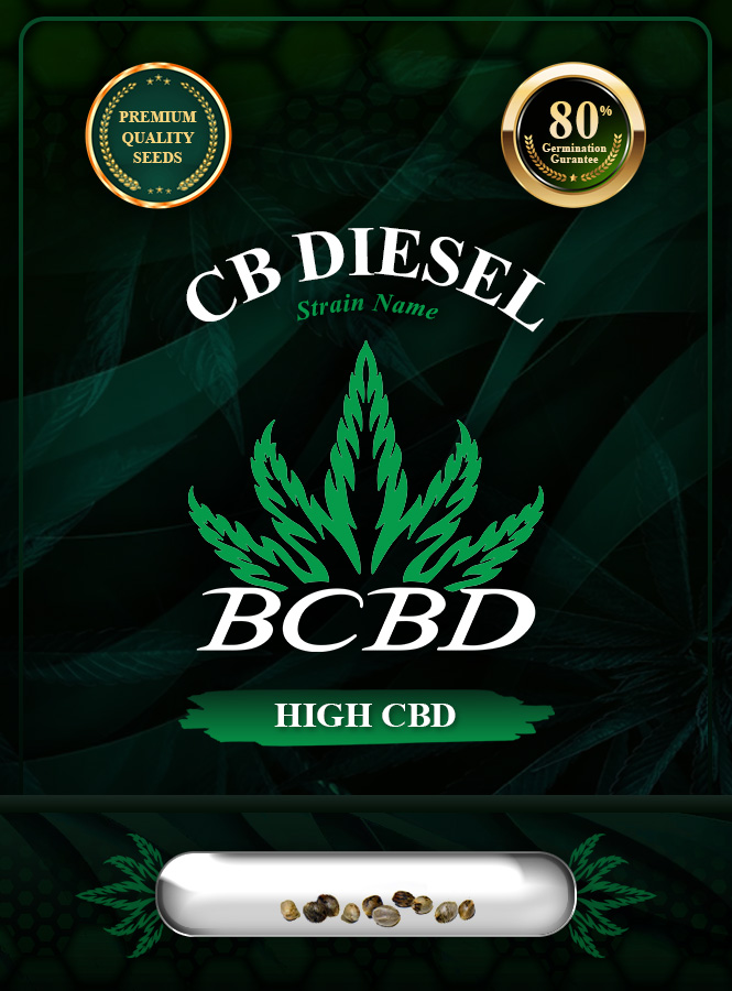 CB Diesel Strain CBD Feminized Marijuana Seeds