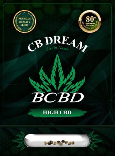 CB Dream Strain
