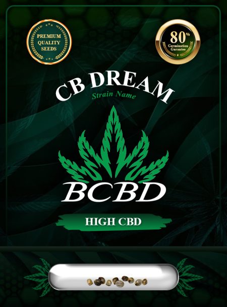 CB Dream Strain