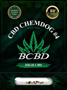 CBD Chemdog #4 Strain Feminized
