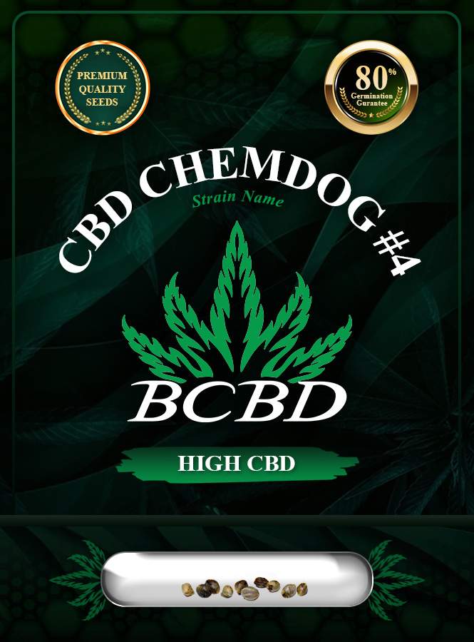 CBD Chemdog #4 Strain Feminized Marijuana Seeds