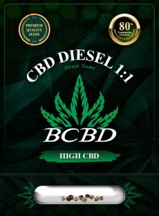 CBD Diesel (1:1) Strain