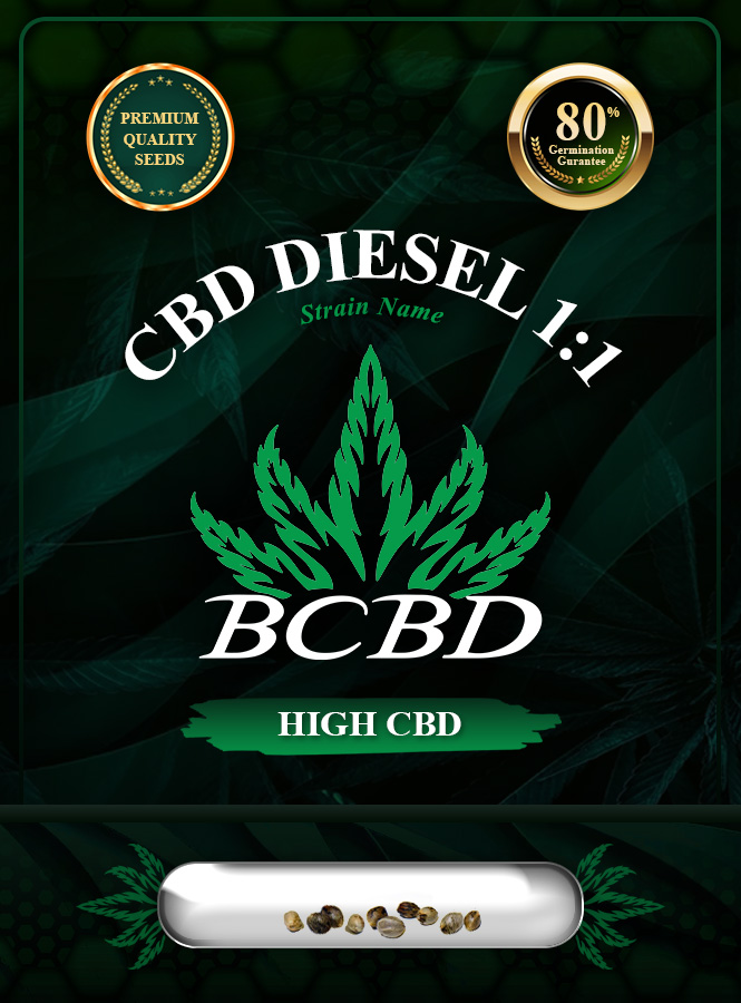 CBD Diesel (1:1) Strain Marijuana Seeds
