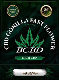 CBD Gorilla Strain Fast Flower
