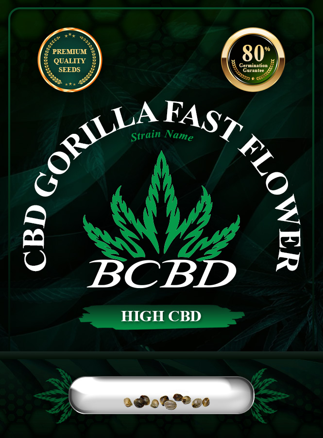 CBD Gorilla Strain Fast Flower Marijuana Seeds