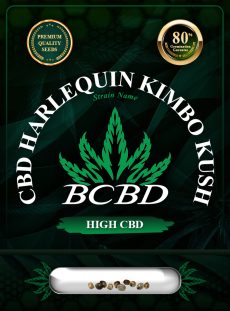 CBD Harlequin Kimbo Kush Feminized