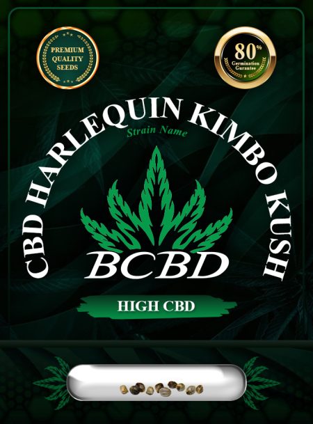 CBD Harlequin Kimbo Kush Feminized