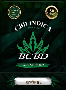 CBD Indica Strain Fast Version