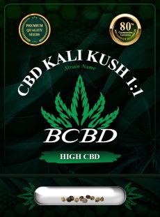 CBD Kali Kush (1:1)