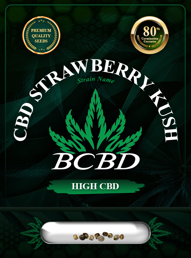 CBD Strawberry Kush Feminized Marijuana Seeds
