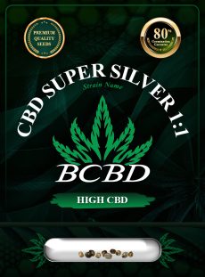 CBD Super Silver (1:1) Strain