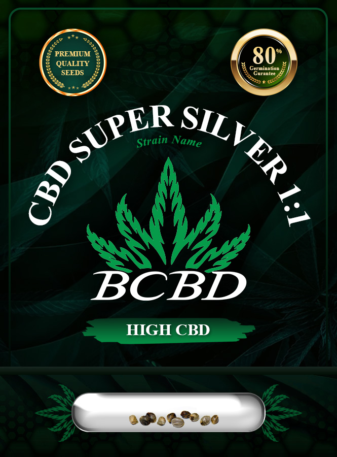 CBD Super Silver (1:1) Strain Marijuana Seeds