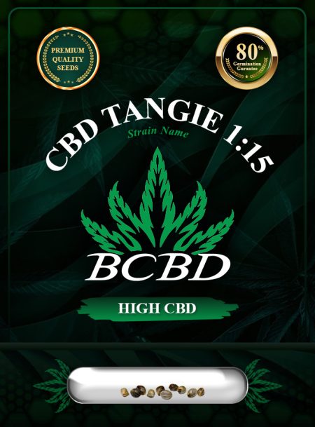 CBD Tangie (1:15) Strain