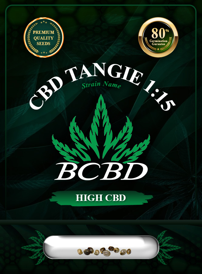 CBD Tangie (1:15) Strain Marijuana Seeds
