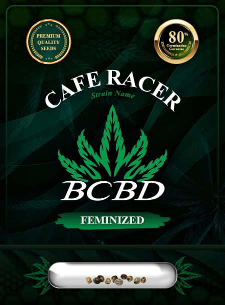 Cafe Racer Strain Feminized