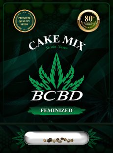 Cake Mix Strain Feminized