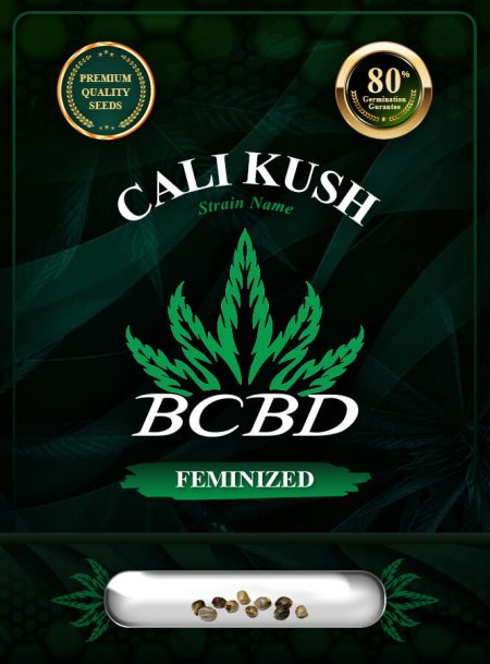 Cali Kush Feminized