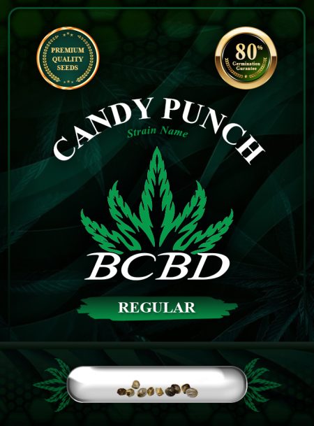 Candy Punch Strain Regular