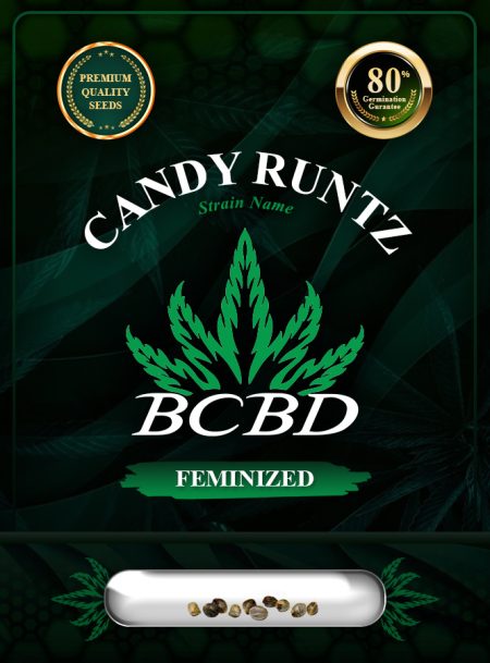 Candy Runtz Strain Feminized