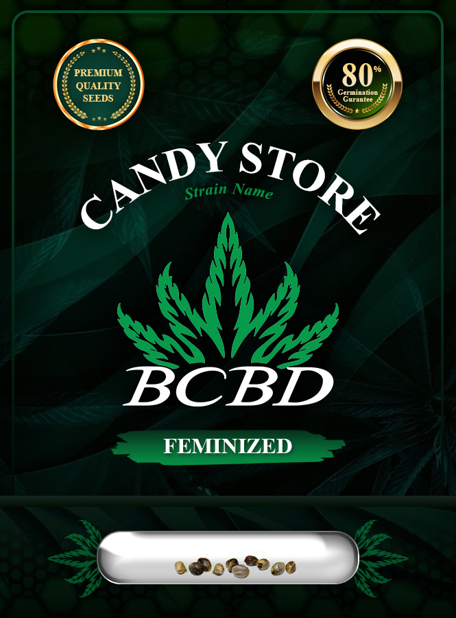 Candy Store Strain Feminized Marijuana Seeds