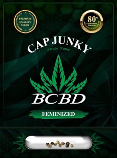 Cap Junky Strain Feminized