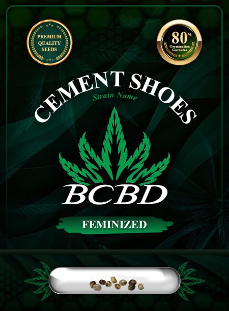 Cement Shoes Strain Feminized