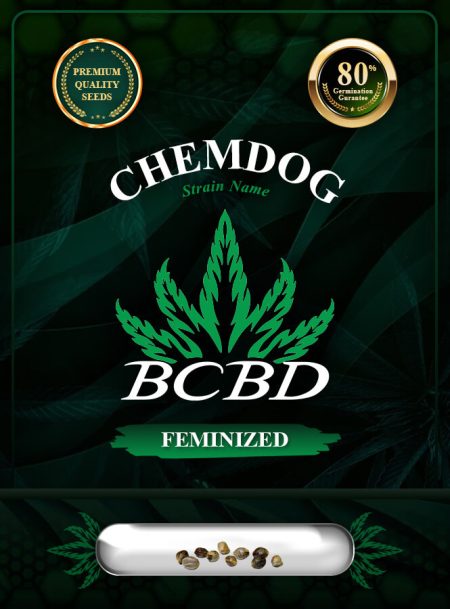 Chemdog Strain Feminized