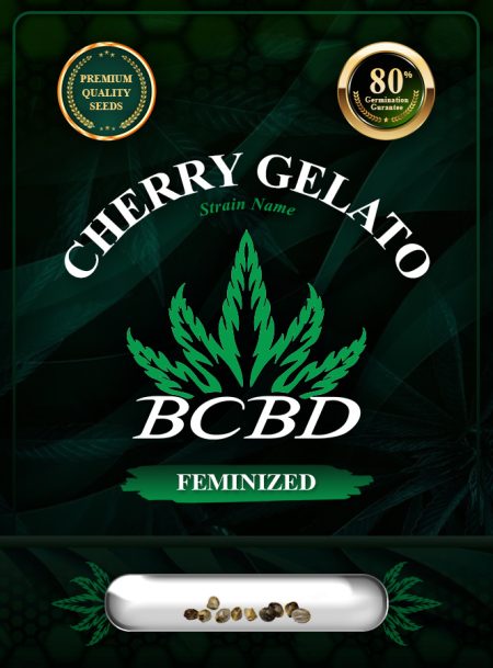 Cherry Gelato Strain Feminized